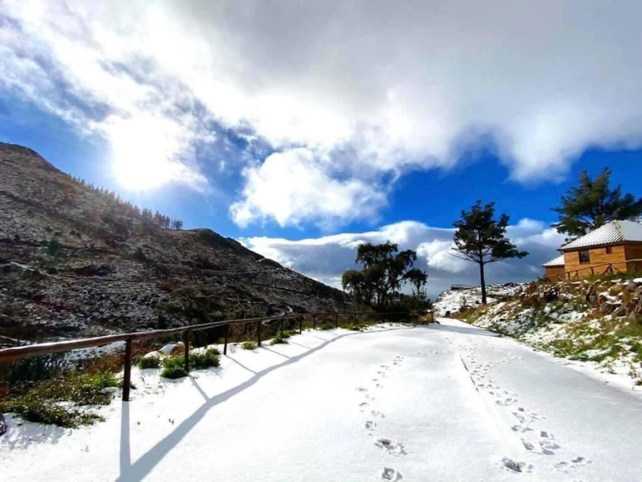 Mountain Eco Shelter 1 Otel Funchal Dış mekan fotoğraf
