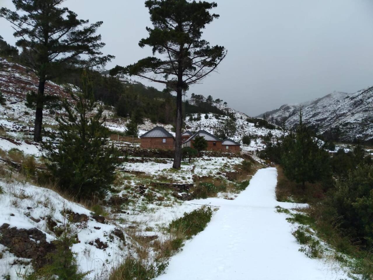 Mountain Eco Shelter 1 Otel Funchal Dış mekan fotoğraf